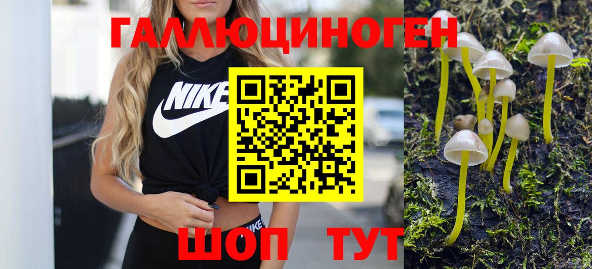 Псилоцибиновые грибы Psilocybe  Вход с VPN  Казань 